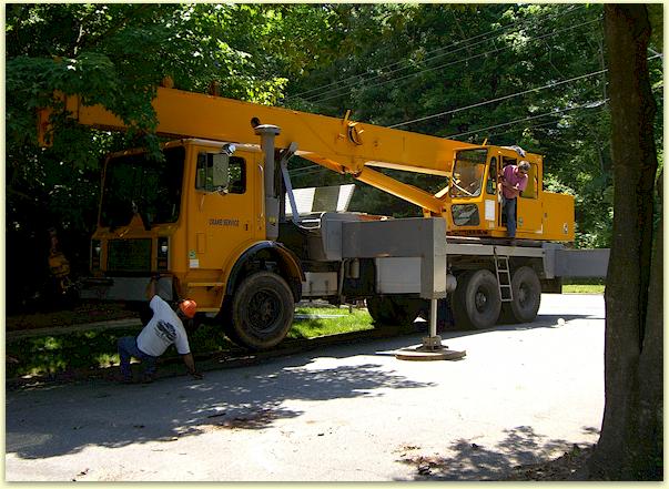 tree surgeon and arborist, tree trimming and cutting in Winston Salem, NC