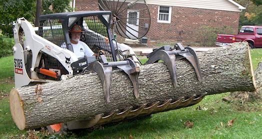 tree pruning and tree cutting in Winston Salem, North Carolina