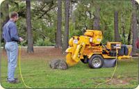 Tree service and tree care in Winston Salem, NC